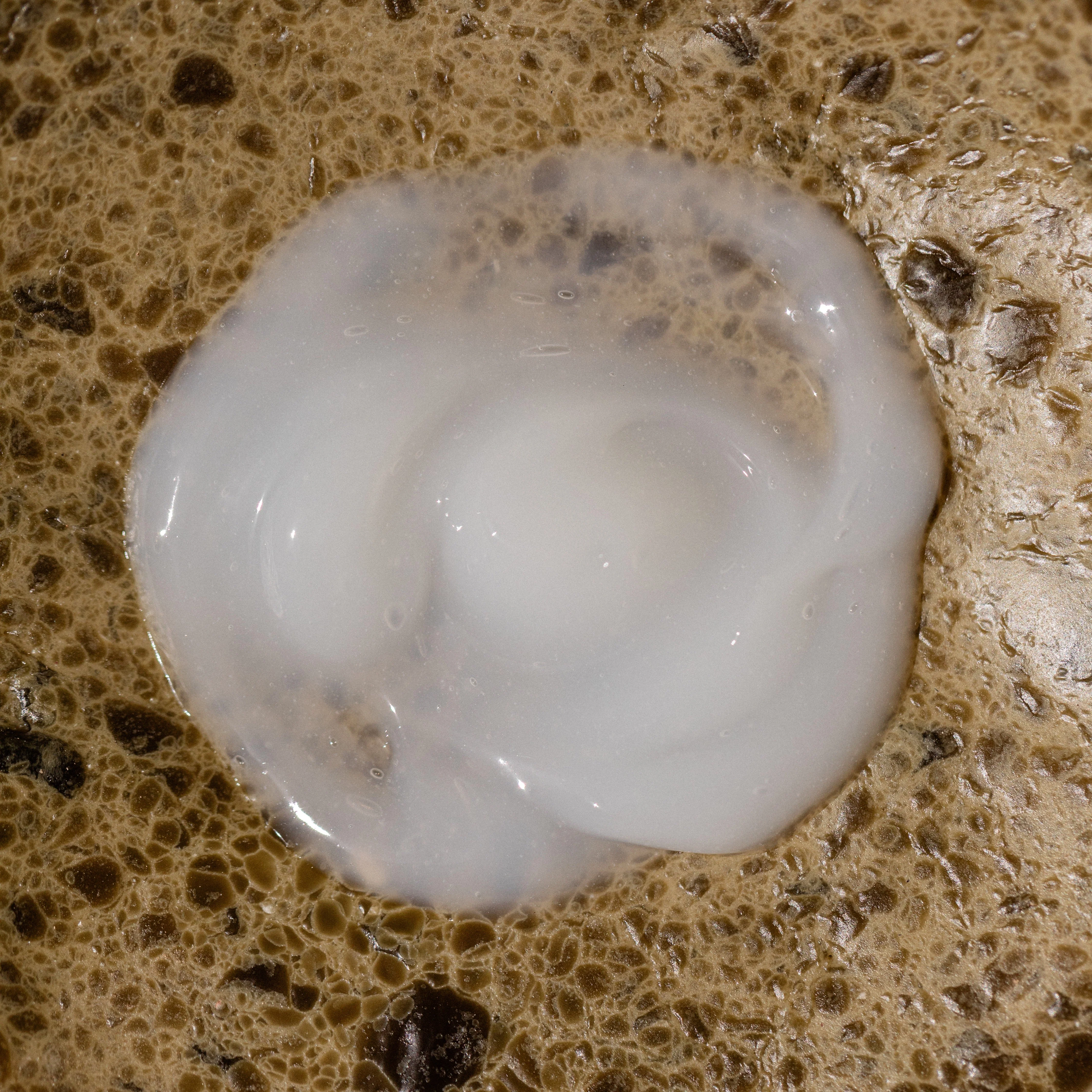enriching hair conditioner - Image 8